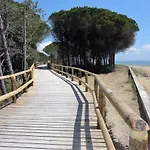 Apartments In Bibione 36524